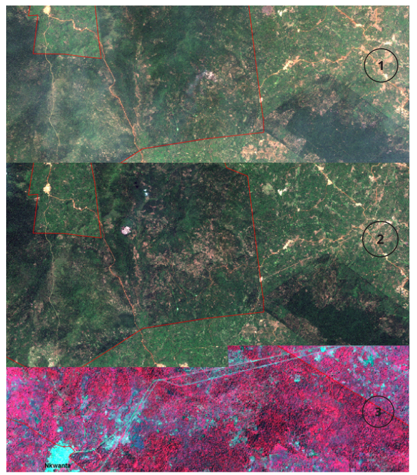 Screenshot 2026-01-24 213432