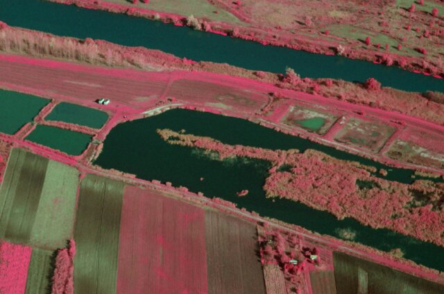 nfrared-Nikon-D7000-camera-processed-image-which-simulates-the-Kodak-AEROCHROME-Infrared_W640